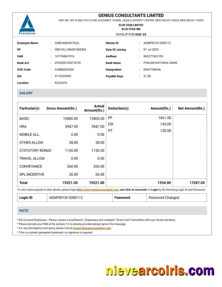 Genius Consultants payslip